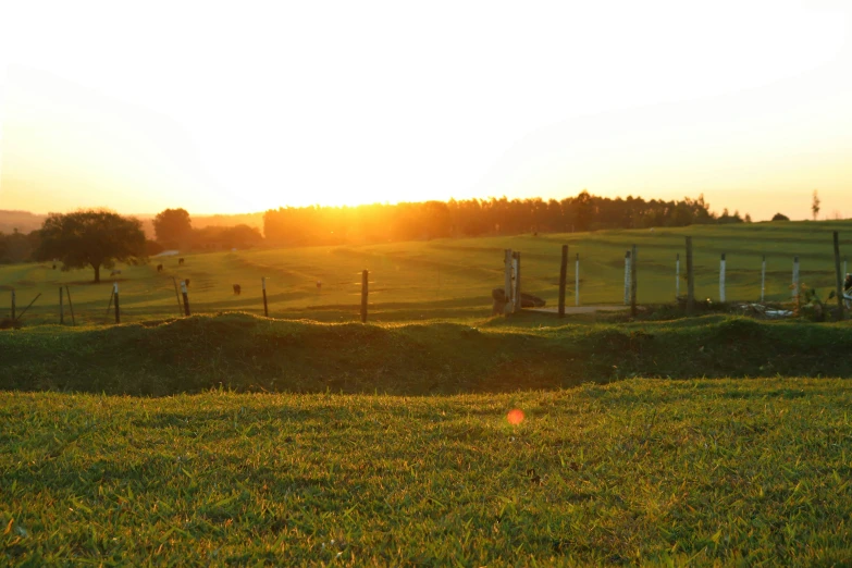 a lone fire hydrant in the middle of an open field