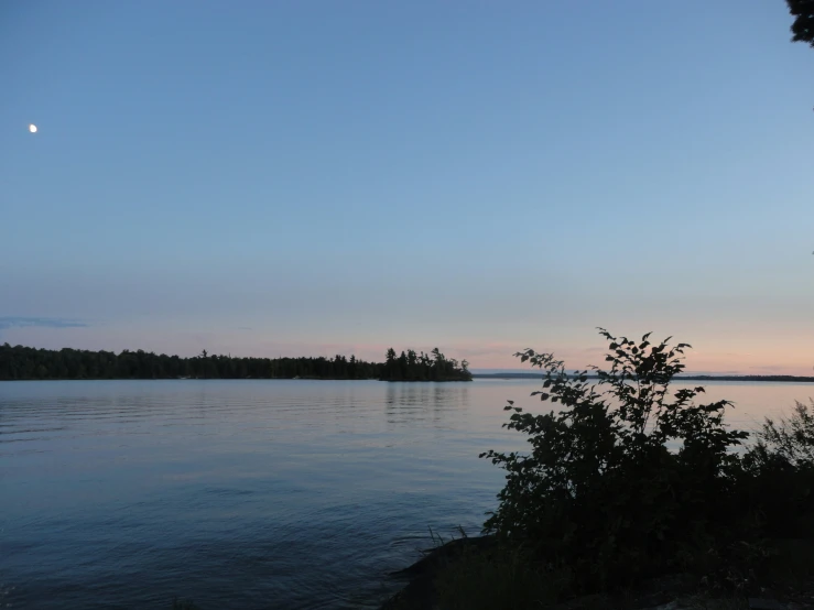 trees on the shore of a lake and a bright moon in the background