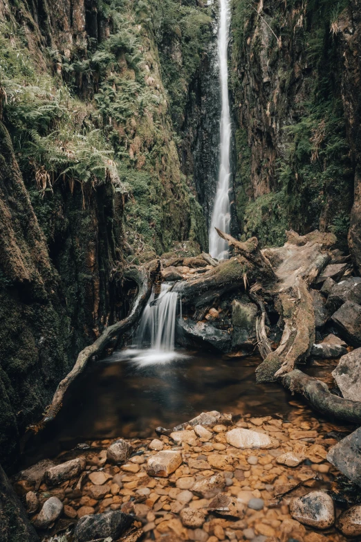 waterfall with rocks and trees growing beside it