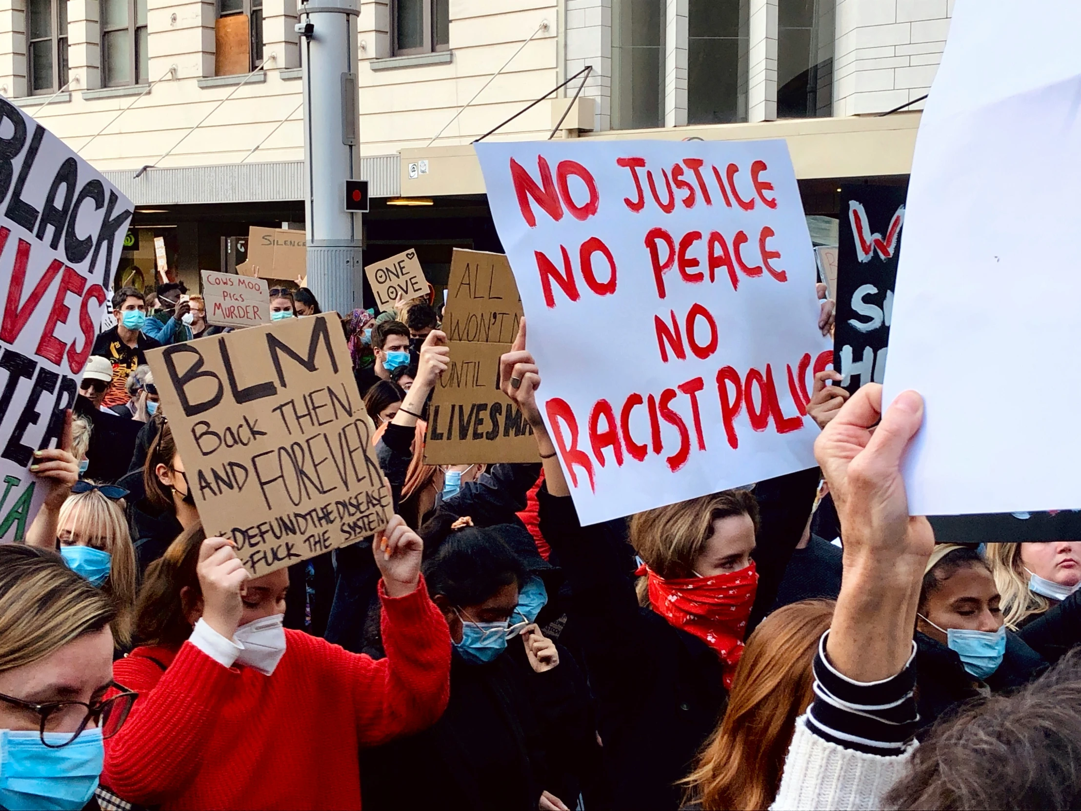 people are holding up protest signs in the street