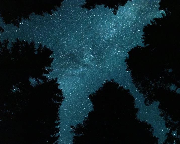 a night sky filled with stars and lots of trees