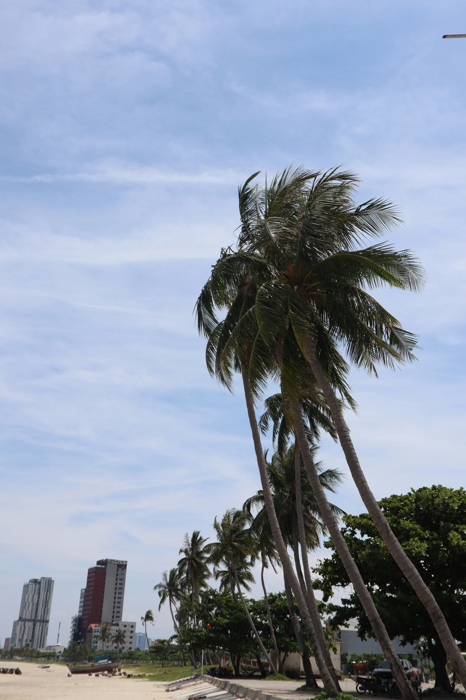 some palm trees and buildings on a sunny day