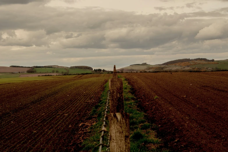 a long row of bare - lying crops lines a dirt field