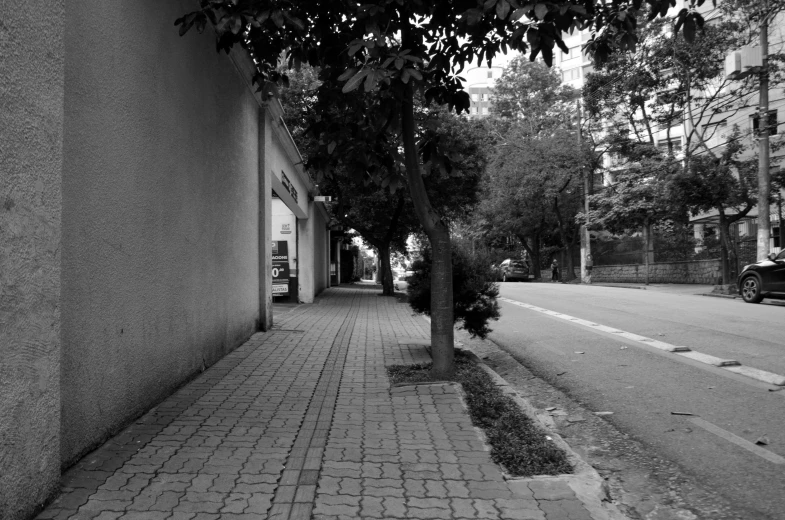 black and white pograph of street with curb and tree