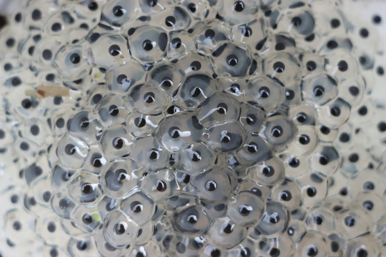 a pattern made from black and gray circles