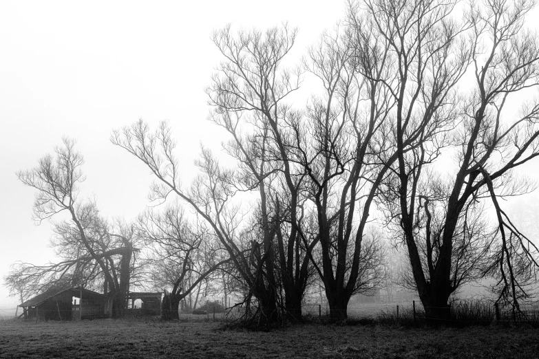 there is an old church in the woods