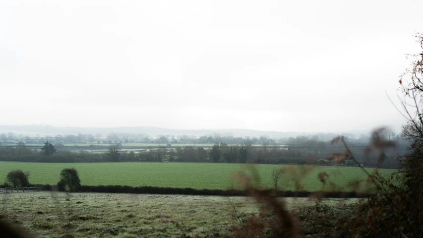 a grassy field near a farm with bushes in the foreground