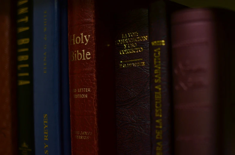 books in a row on a shelf