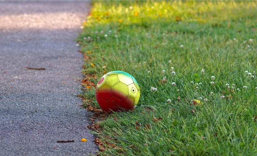 a frisbee laying on the ground in a grass area