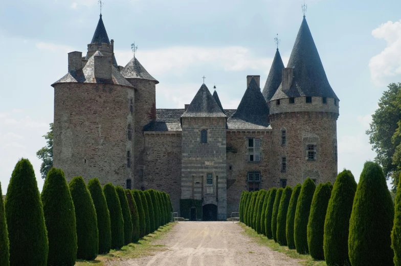 a castle that has hedges in front of it