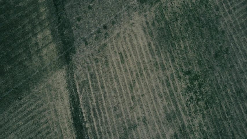 this is an aerial view of a plowed field with rows of crops