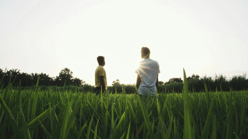 a man and boy standing on a lush green field
