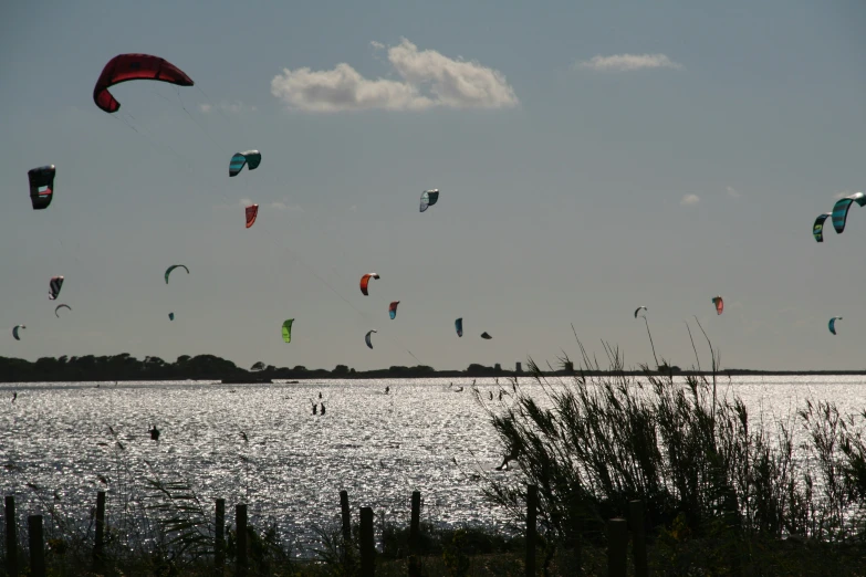 a group of people with large kites in the sky