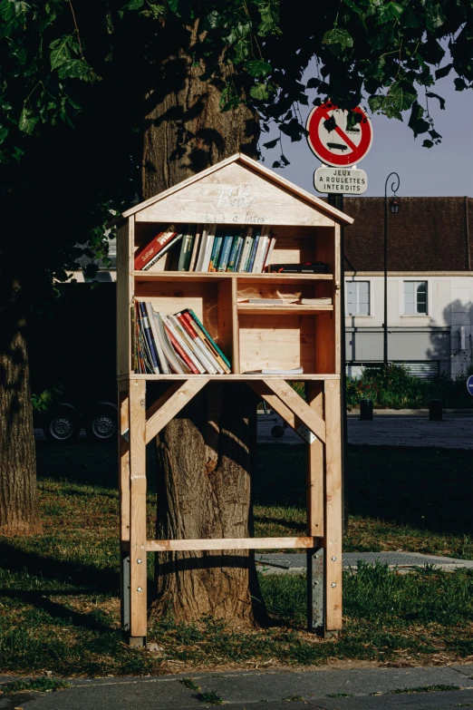 a wooden bookshelf built into the side of a tree