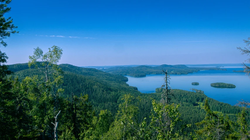 a lake surrounded by trees with a blue sky in the background