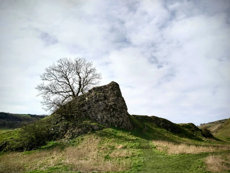 a large rock on a hill with trees and grass