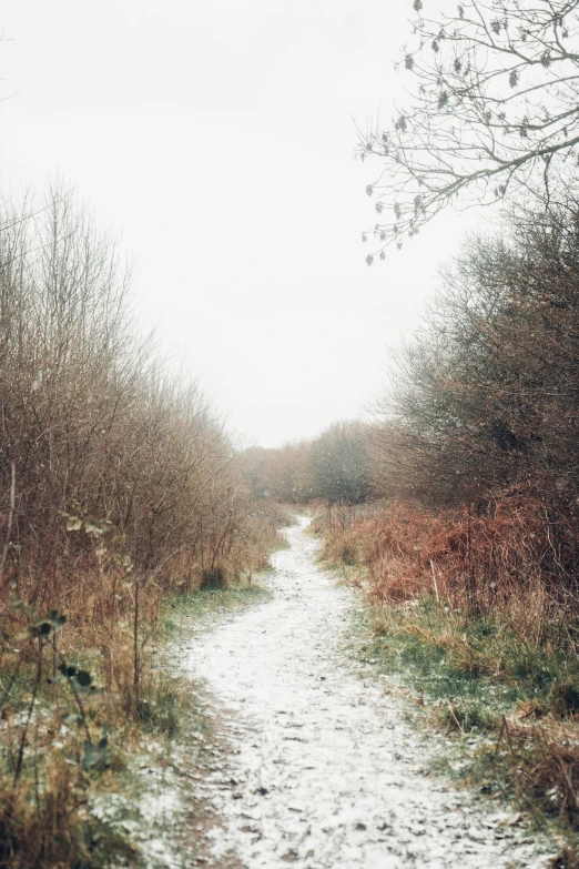 the path is frozen and wet with no people