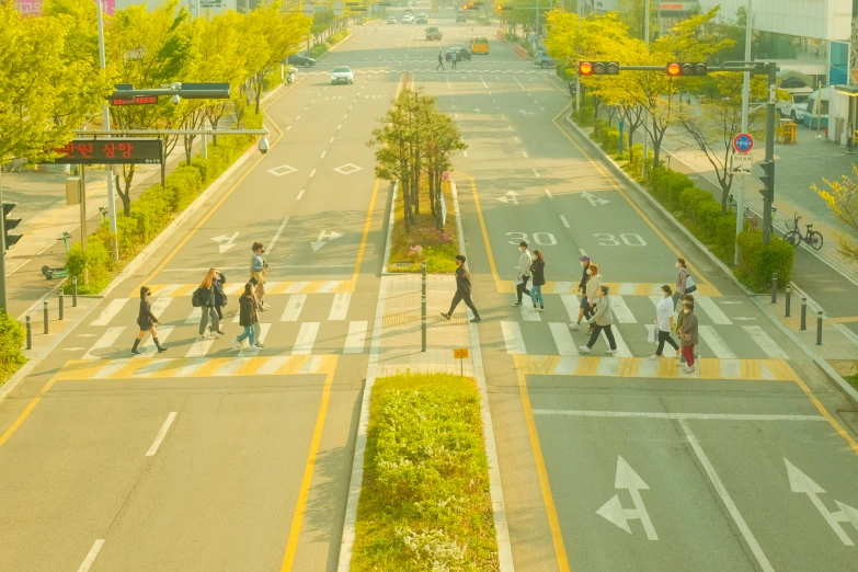 several people are walking across a pedestrian street