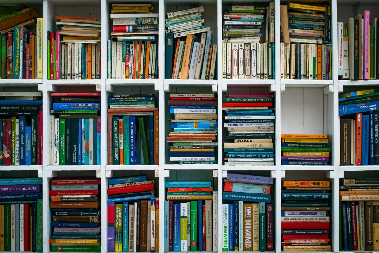 an assortment of books lined up on display