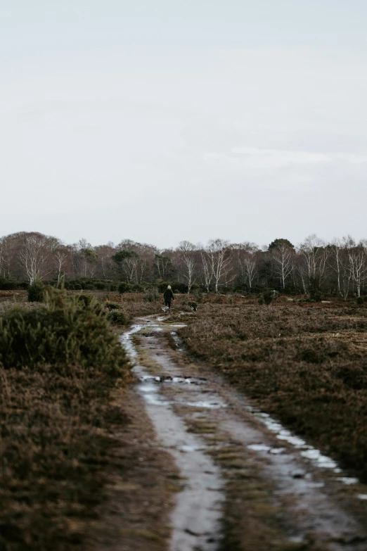 there is a trail going down this field