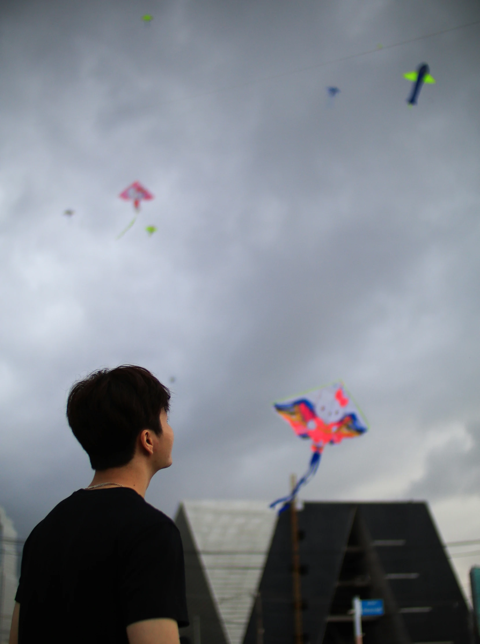 a person looking at the sky with kites in it