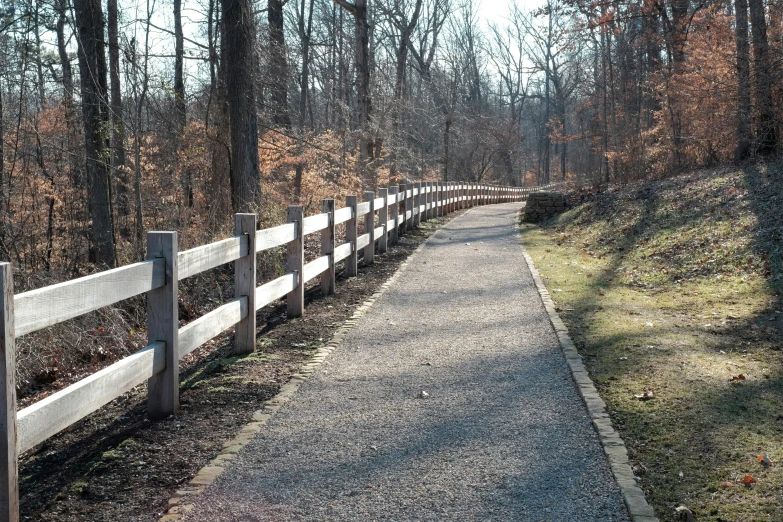 there is a long wooden fence leading towards the woods