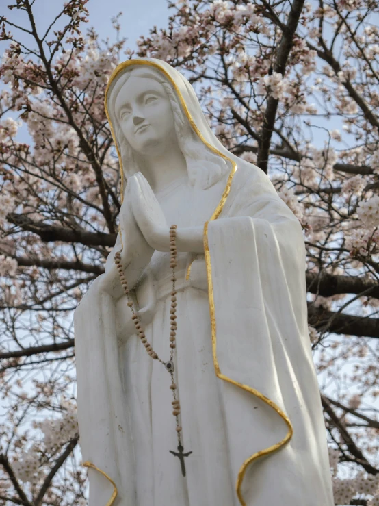the statue in front of a cherry blossom tree