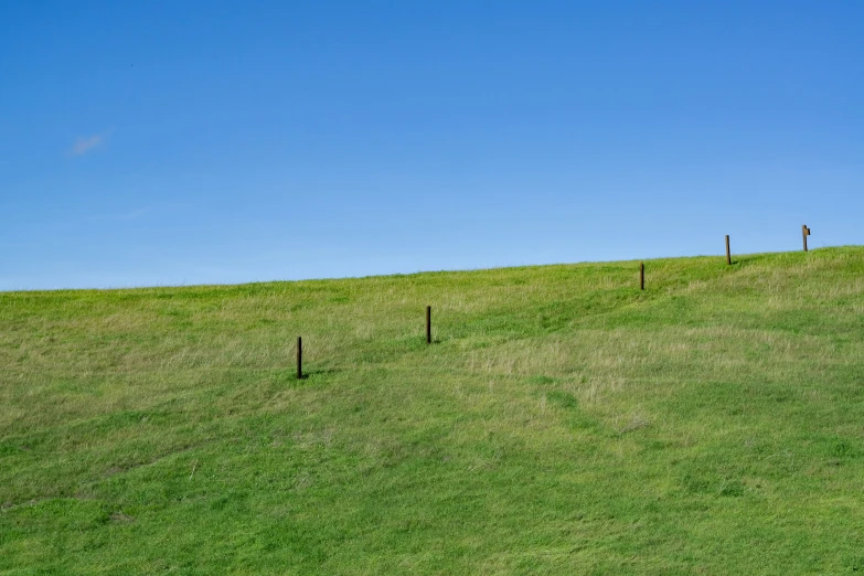 the green grassy hill on the side of the blue sky