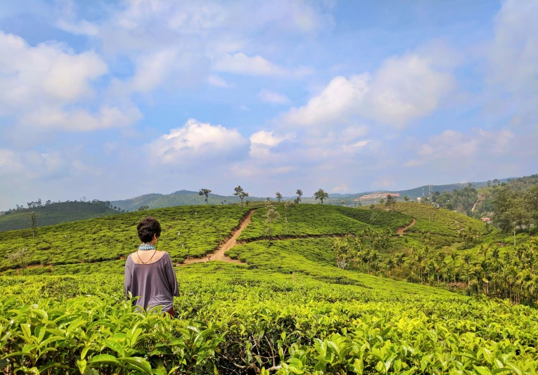 a person stands in a field of grass looking over another hill