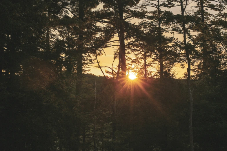 the sun is setting over the trees on this shore