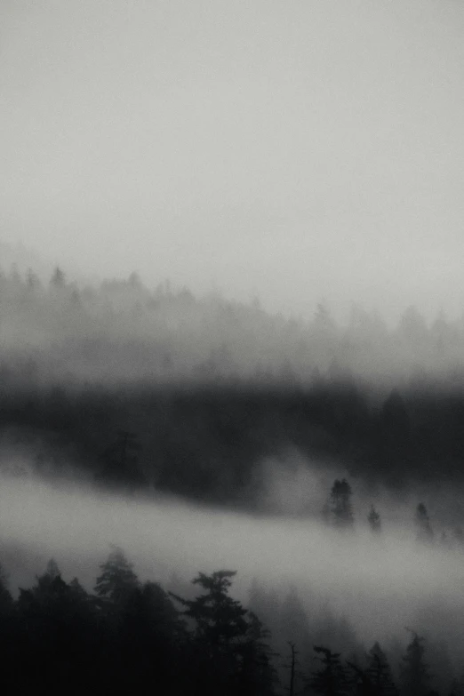 an image of fog coming off the side of a hill