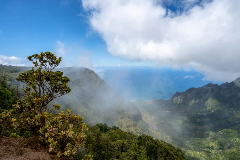 some clouds flying over mountains and trees in the foreground