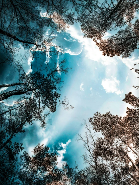 a beautiful blue sky with white clouds in the trees