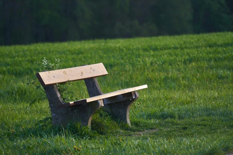 there is a wooden bench in the field