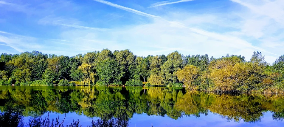 a reflection of trees in a lake with a blue sky