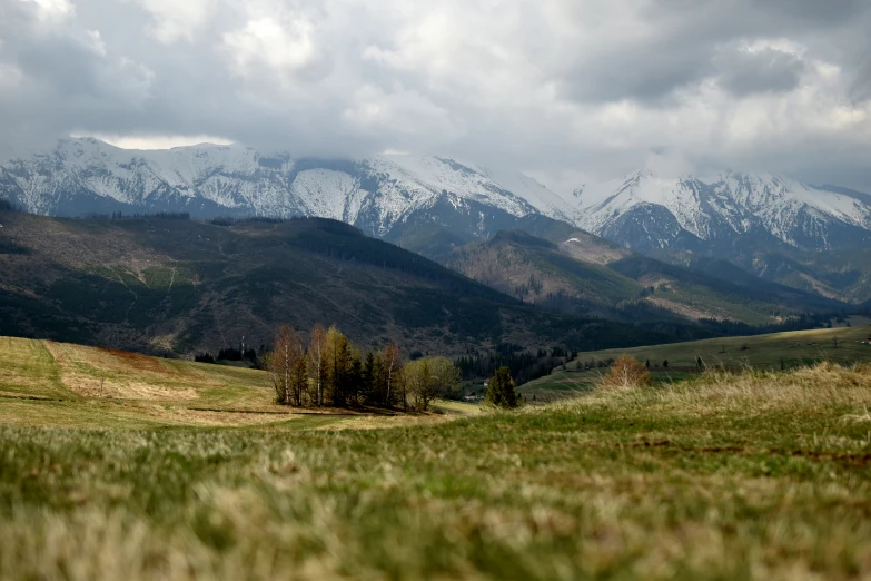 mountains with snow and grass in the foreground