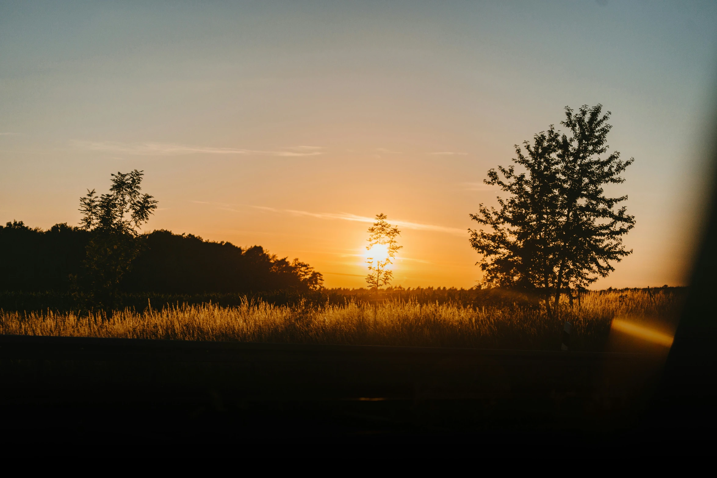 a sunset is seen over a wooded area