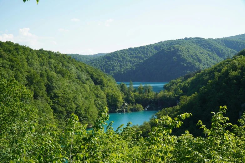 the trees are green and lush next to a lake