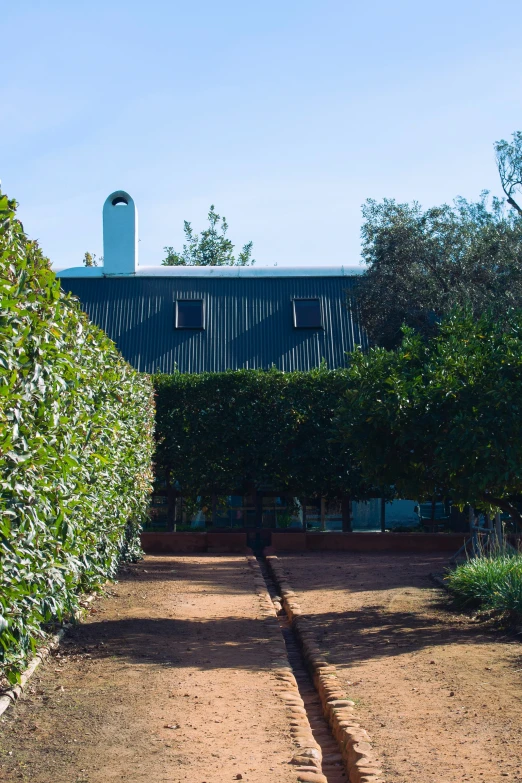 pathway with plant and building in background, on clear day