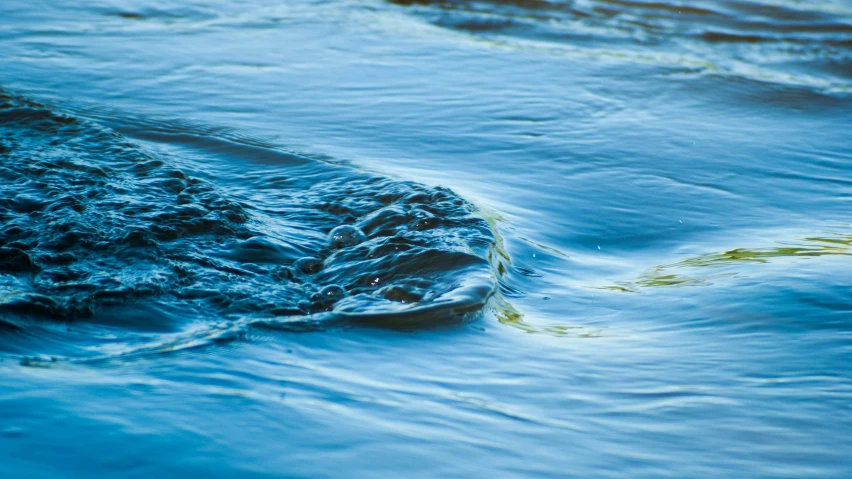 an up close s of the surface of water