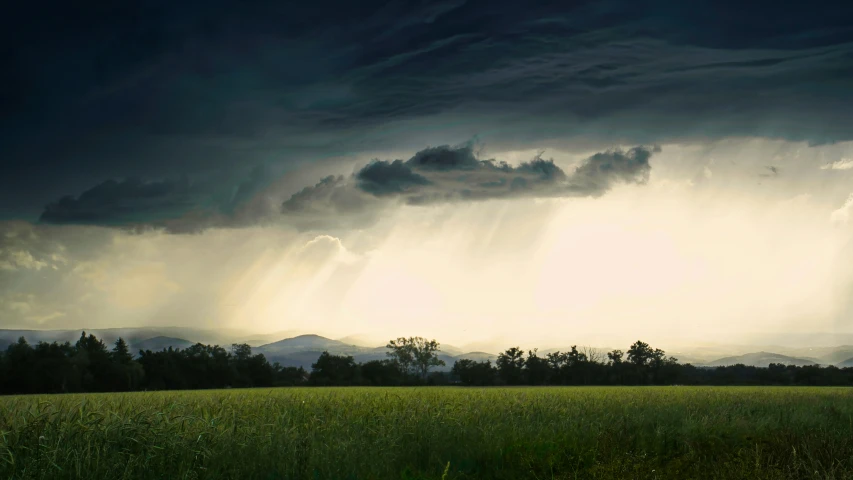 storm clouds fill the sky as a horse grazes in a pasture