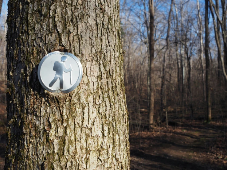 a metal plaque on a tree in the middle of the woods