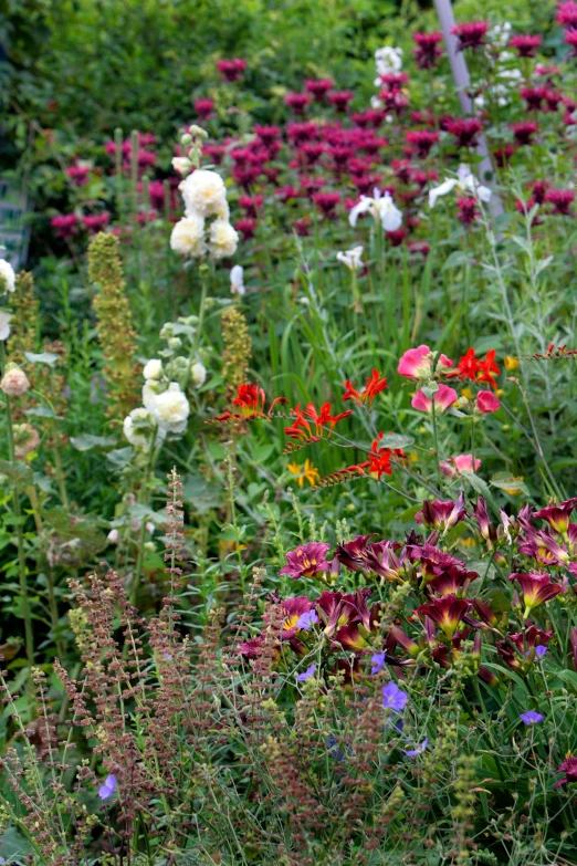 large assortment of flowers in a garden by a pole