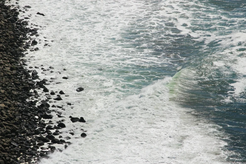 a lone bird swims down to the ocean