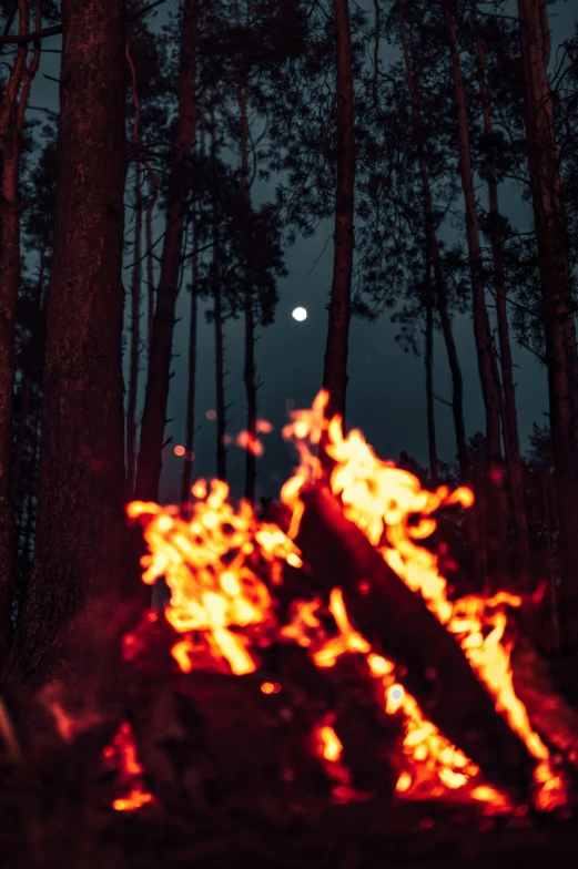 a fire is glowing as a full moon rises above the woods