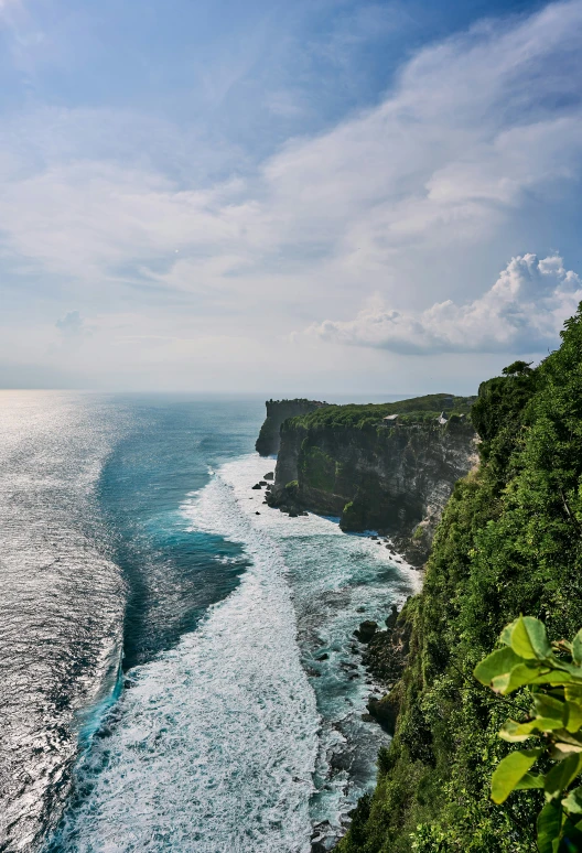 an ocean and the edge of a cliff near some trees