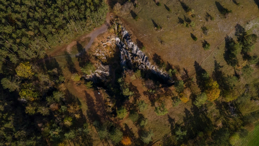 an aerial view of a forested area with several trees