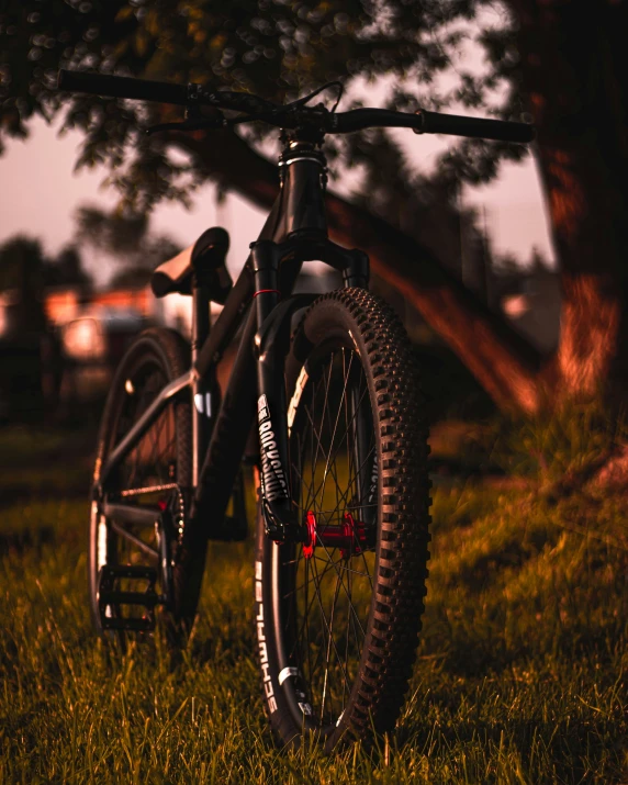 a bicycle parked in the grass near a tree