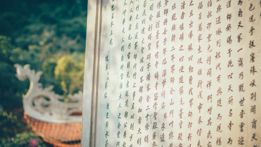 some writing on a white wall near some trees