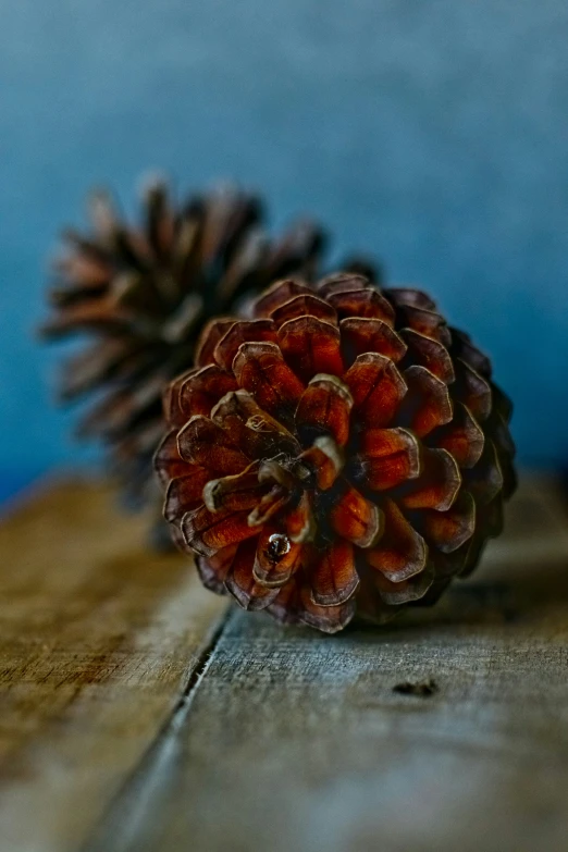 two small pine cones sitting on a table